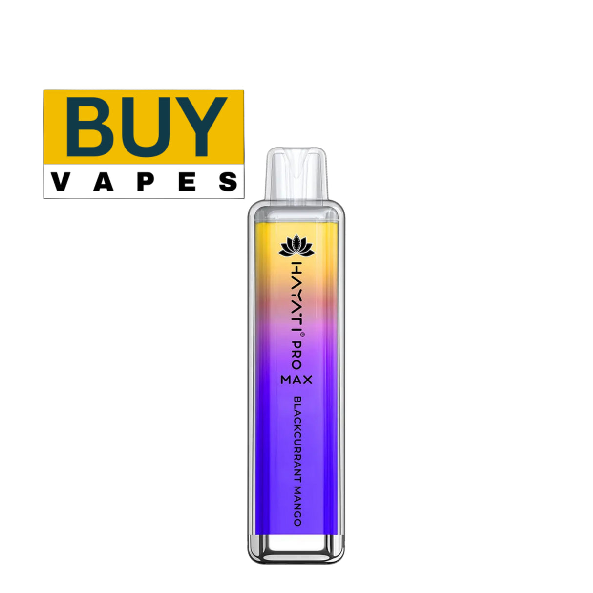 Blackcurrant Mango Hayati Pro Max 4000 Puffs